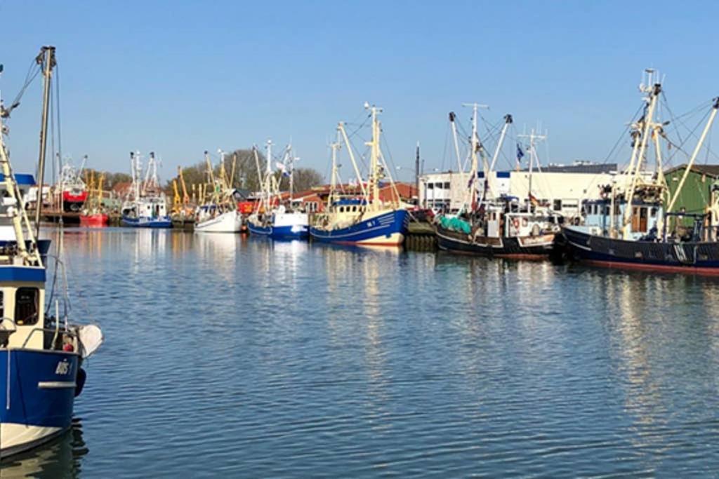 Nordseeglueck In Buesum Nahe Familienlagune Екстер'єр фото